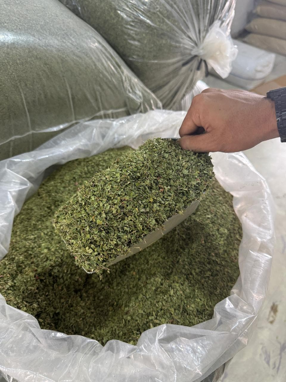 Crushed dried green kratom leaf crumbles in export bulk poly bag
