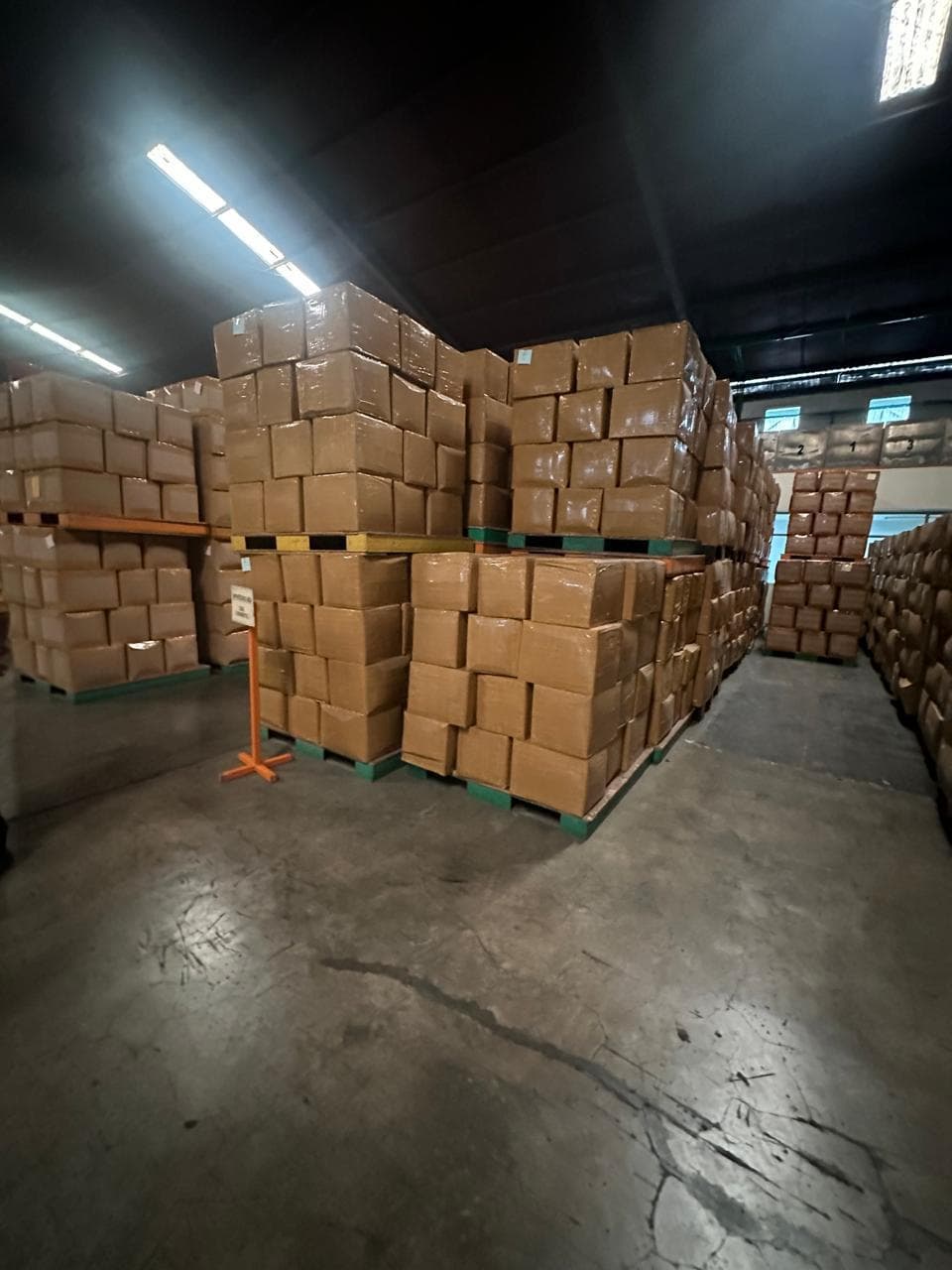 Organized rows of palletised shrink-wrapped export cartons in warehouse